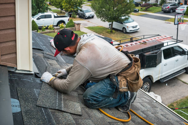 Professional Roofing technician working in Cantrall, IL